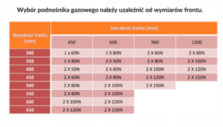 Podnośnik gazowy GH-PRO INOX 100N +akces.